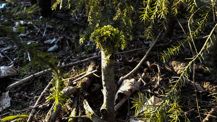 Similar image 22597366