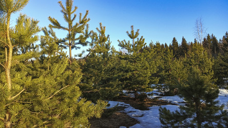 Similar image 22597302