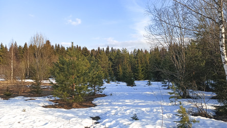 Similar image 22597304