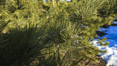 Similar image 22597305