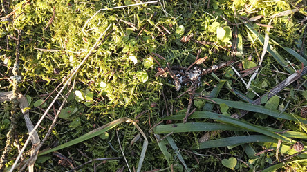 Similar image 22597306