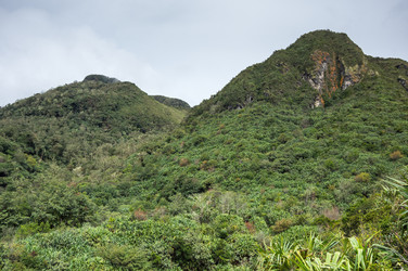 Similar image 22597391