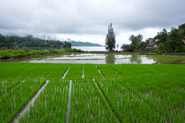 Similar image 22597397