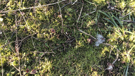 Similar image 22597307