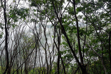 Similar image 22597403