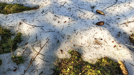 Similar image 22597318