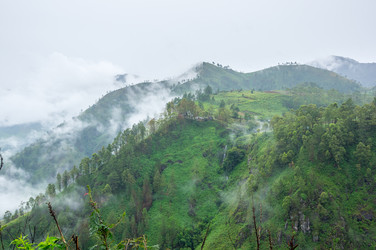 Similar image 22597415