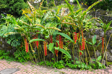 Similar image 22597419