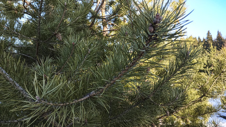 Similar image 22597319