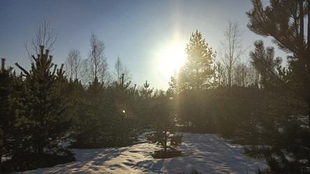 Similar image 22597320