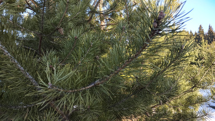 Similar image 22597321