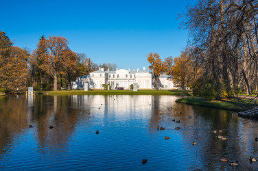 Similar image 22597423