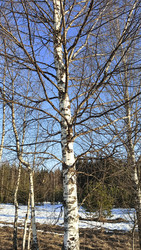 Similar image 22597322