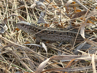 Similar image 22598894