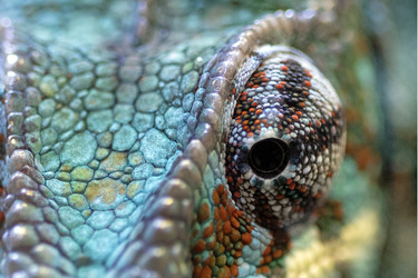 Similar image 22611823