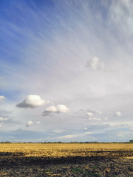 Similar image 22599721