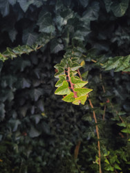 Similar image 22599724