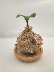 Similar image 22599726