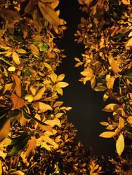 Similar image 22599728