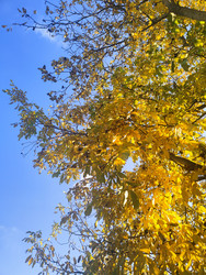 Similar image 22599729