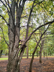 Similar image 22599730