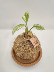 Similar image 22599731