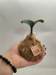 Similar image 22599747