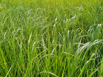 Similar image 22601875