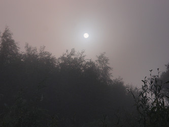 Similar image 22601883