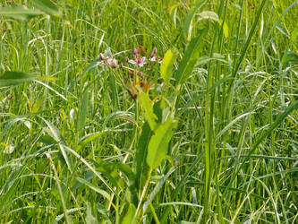 Similar image 22601886