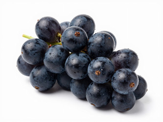 Similar image 22610973