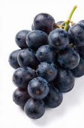 Similar image 22610988