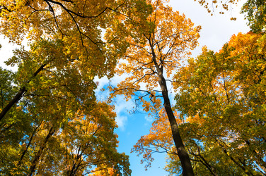 Similar image 22597440