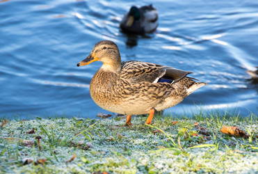 Similar image 22597443