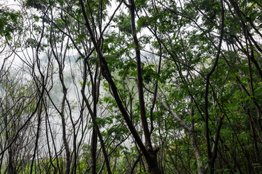 Similar image 22597448