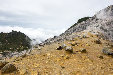 Similar image 22597455