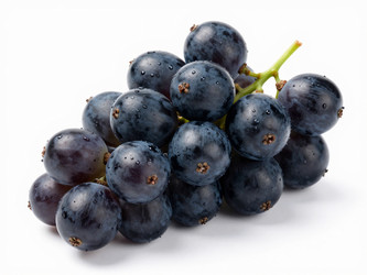 Similar image 22611349