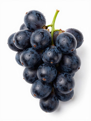 Similar image 22611439