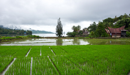 Similar image 22597471