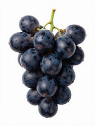 Similar image 22611513