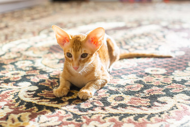 Similar image 22597527