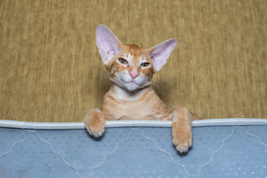 Similar image 22597528