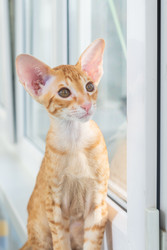 Similar image 22597529