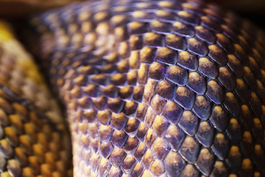 Similar image 22611838