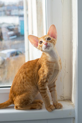 Similar image 22597531