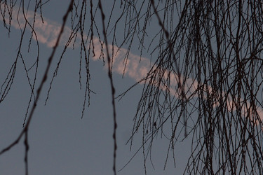 Similar image 22599715