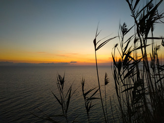 Similar image 22602929