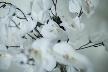 Similar image 22601829