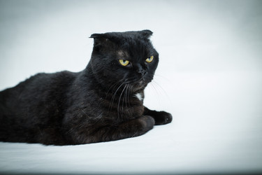 Similar image 22601830