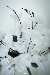 Similar image 22601831